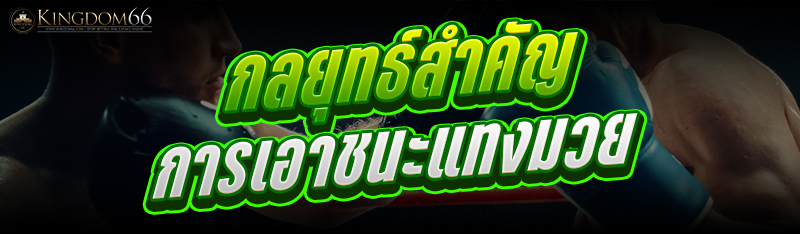 4.กลยุทธ์สำคัญการเอาชนะแทงมวย