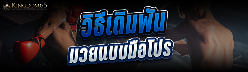 4.วิธีเดิมพันมวยแบบมือโปร