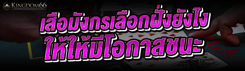 เสือมังกร