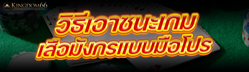 วิธีเอาชนะเกมเสือมังกร
