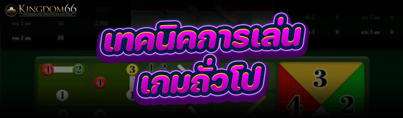 เทคนิคการเล่น เกมถั่วโป